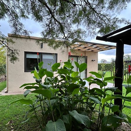 Loft Los Cerezos En Vistalba, Zona De Vinedos Y Bodegas Lujan de Cuyo Eksteriør bilde