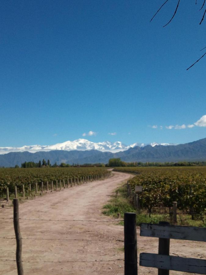 Loft Los Cerezos En Vistalba, Zona De Vinedos Y Bodegas Lujan de Cuyo Eksteriør bilde