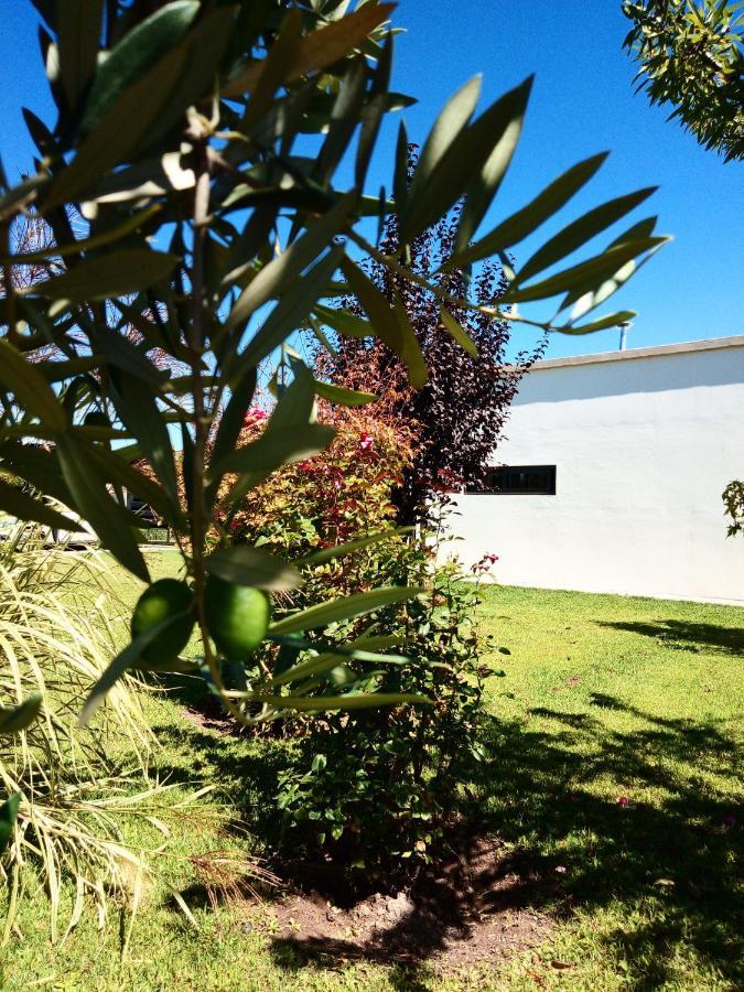 Loft Los Cerezos En Vistalba, Zona De Vinedos Y Bodegas Lujan de Cuyo Eksteriør bilde